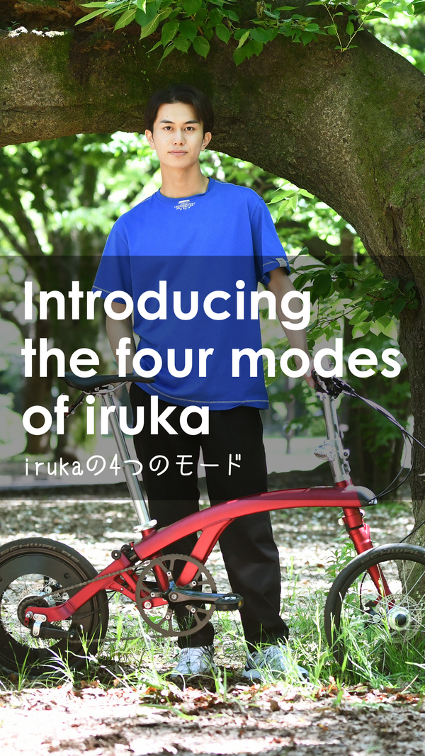 introducing the four modes of iruka
